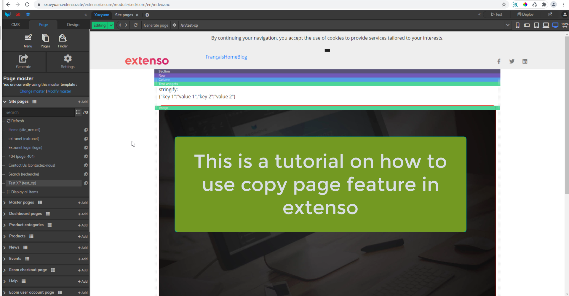 Copy page in Extenso