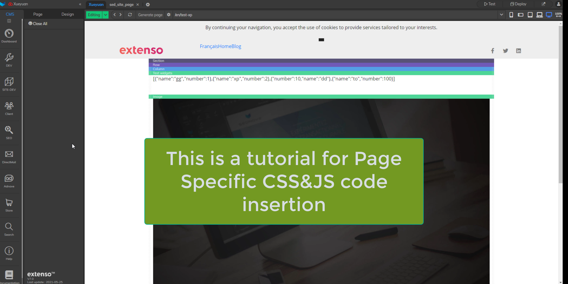 Insertion of CSS/JS code in Extenso