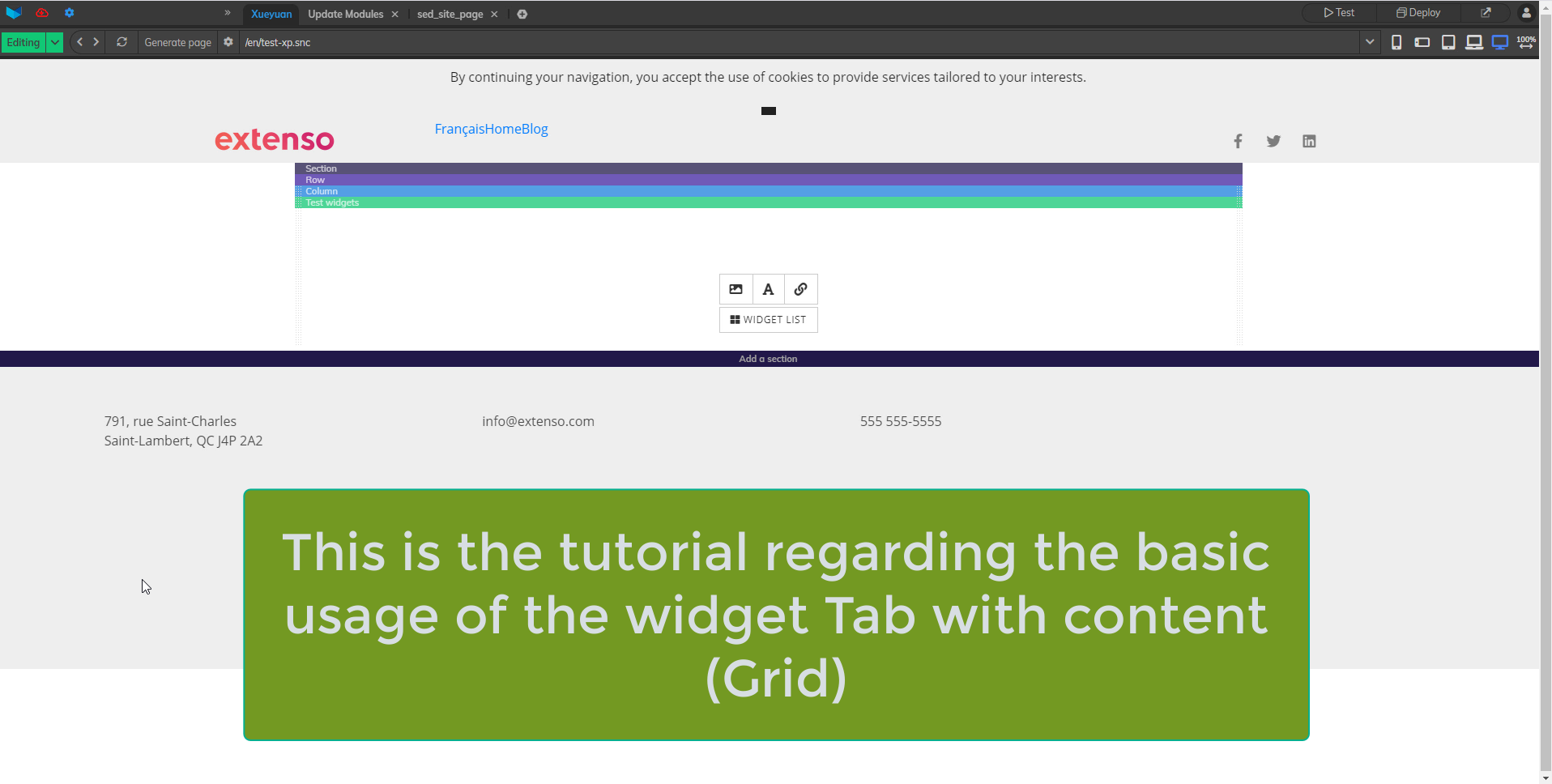 Tab with contents(grid) Widget